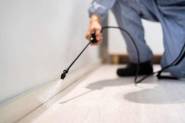 Licensed Cockroach Control service in Horton, KS - Nex Pest Control