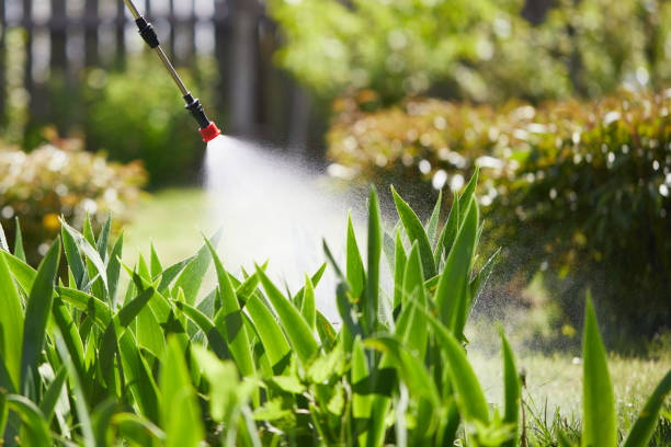 24/7 Emergency Cockroach Control experts in Horton, KS