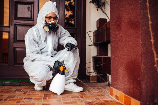 Reliable Cockroach Control contractor in Horton, KS by Nex Pest Control